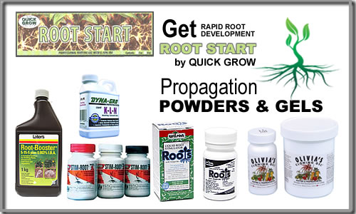 Propagation hormone powders, gel and rooting products